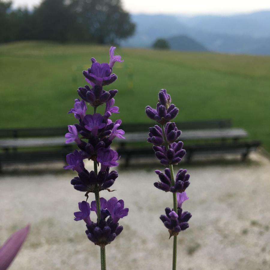 Planinski Dom Na Kalu Bed and Breakfast Dol pri Hrastniku Buitenkant foto